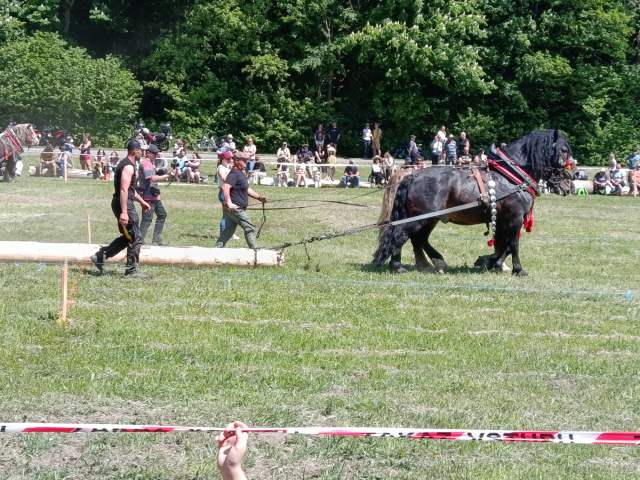 IMG_20260523_141353